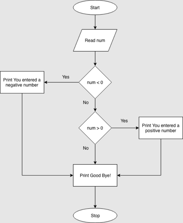 Flowchart: positive or negative number